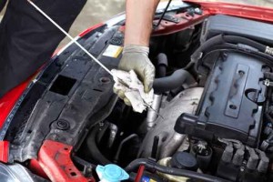 Auto mechanic checking oil.